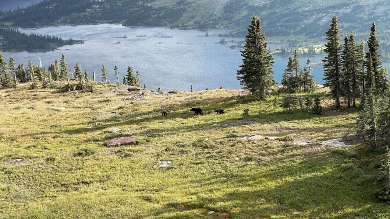 Photo of Outdoor in West Glacier