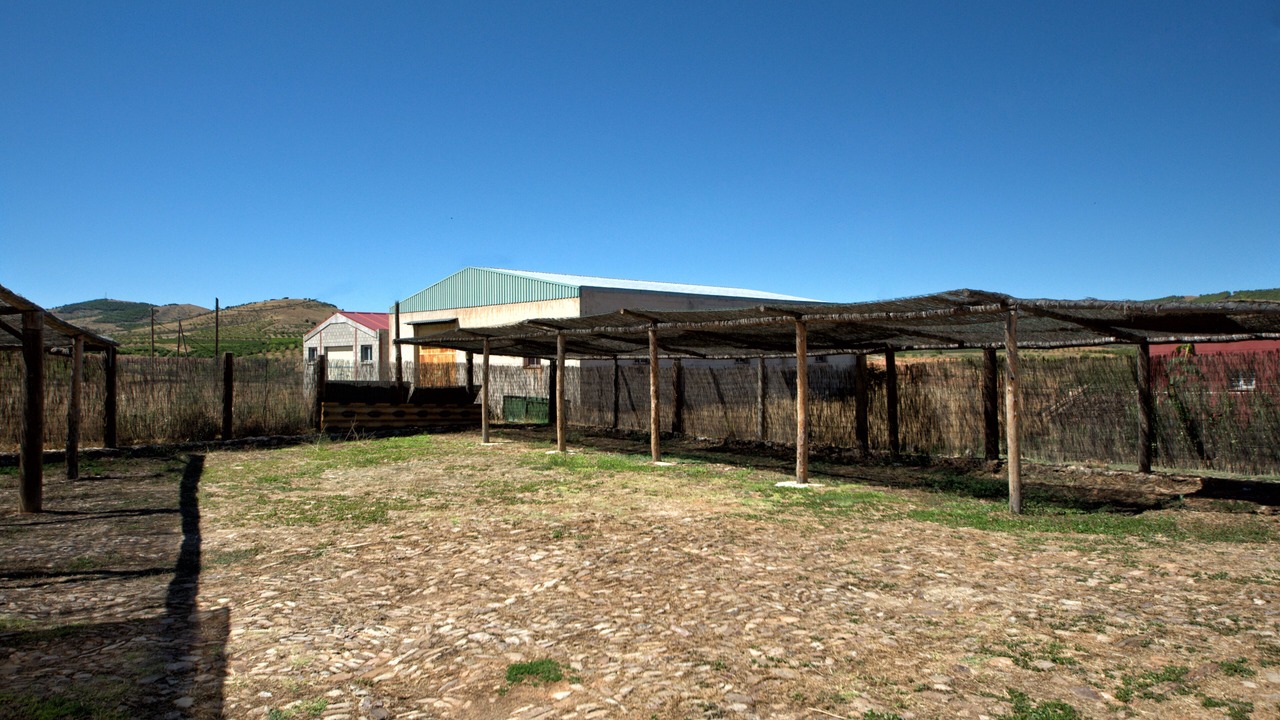 Photo of Outdoor in La Viluena