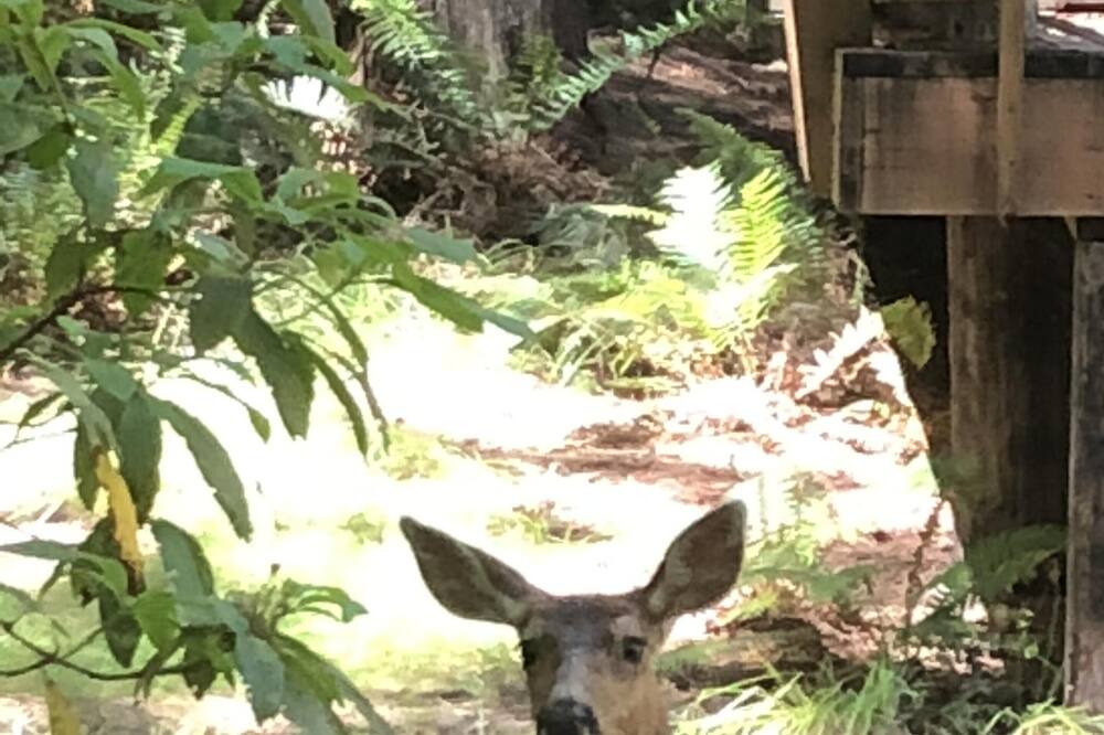 Photo of Others in Burley