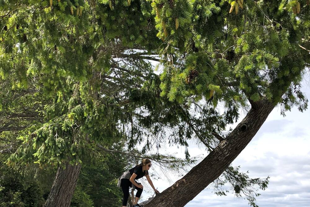 Photo of Others in Burley