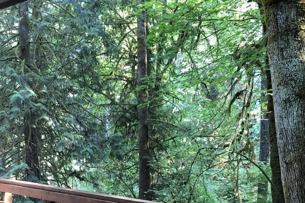 Photo of Others in Burley