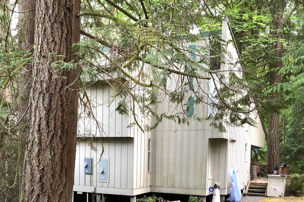 Photo of Others in Burley