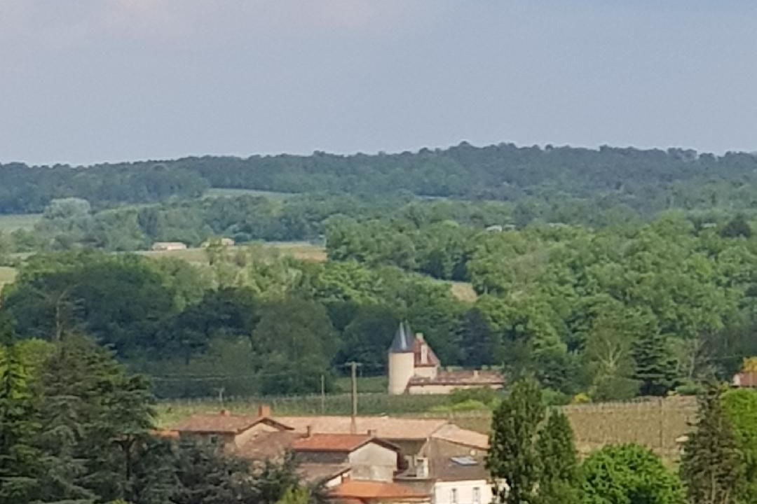 Photo of Outdoor in Soulignac