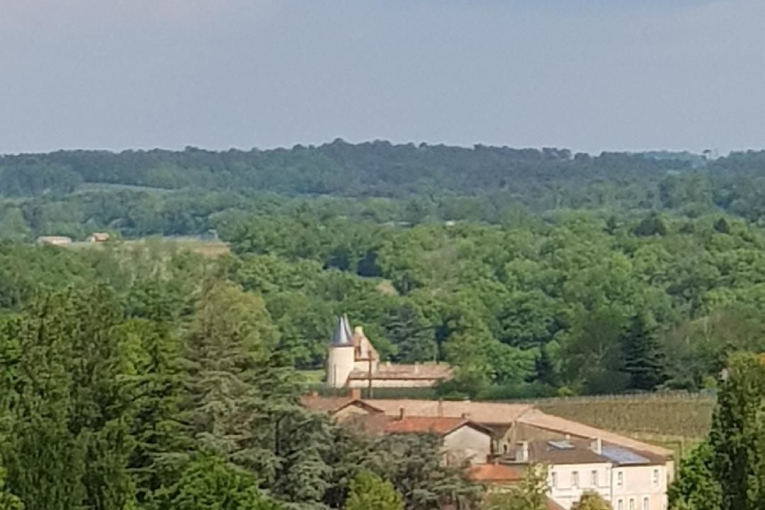 Photo of Outdoor in Soulignac