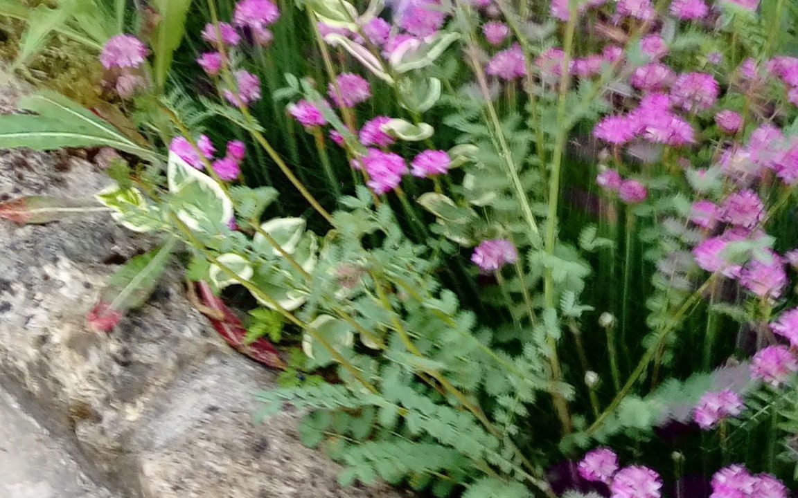 Photo of Outdoor in Soulignac