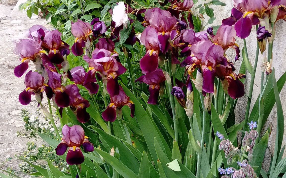 Photo of Outdoor in Soulignac