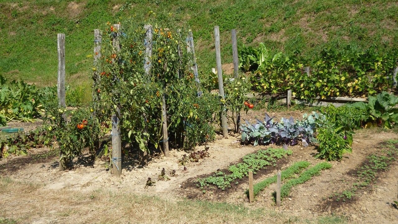 Photo of Outdoor in Soulignac