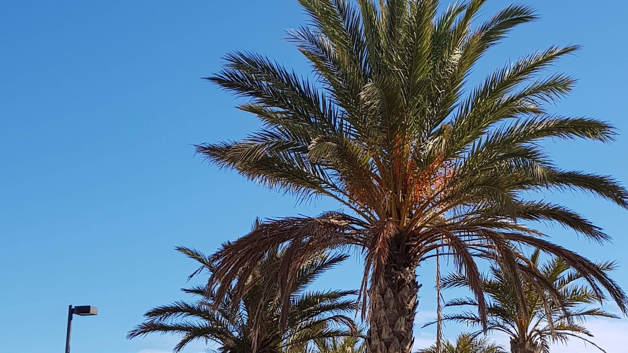 Photo of Outdoor in Alicante