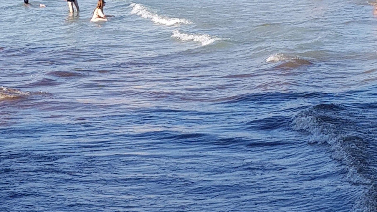 Photo of Others in Alicante