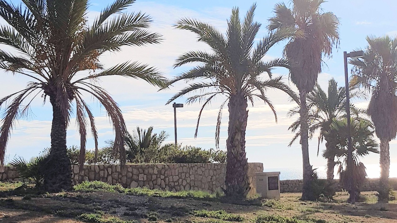 Photo of Outdoor in Alicante