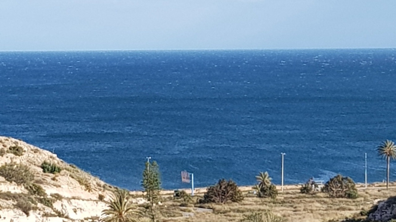 Photo of Others in Alicante