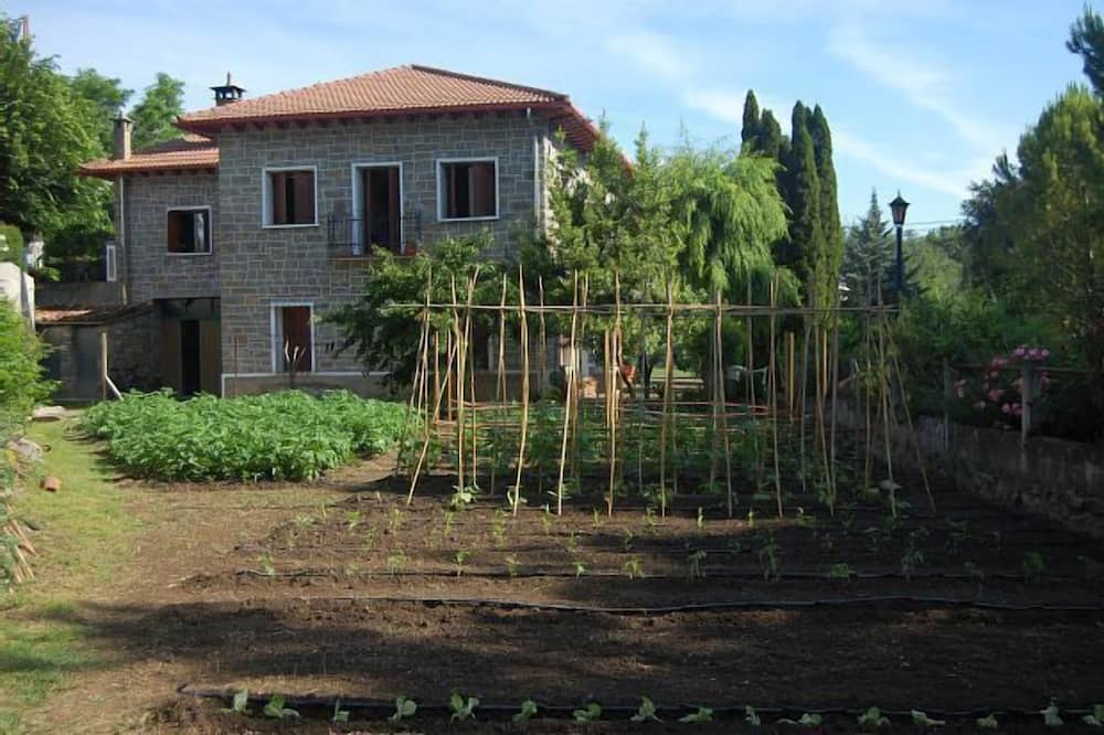 Photo of Outdoor in Mediano