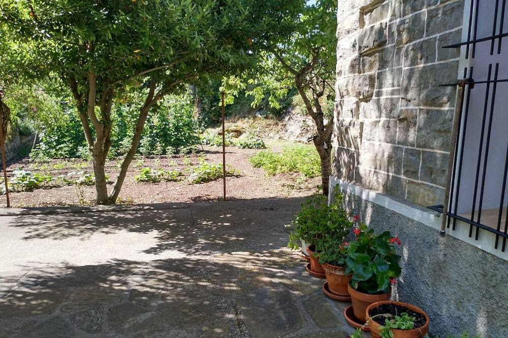 Photo of Outdoor in Mediano