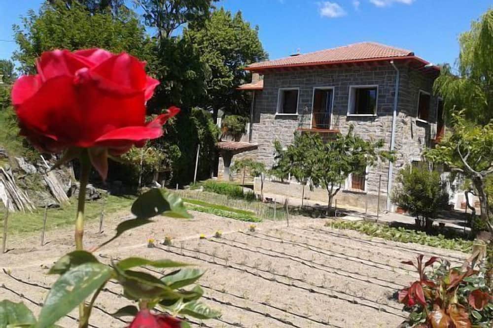 Photo of Outdoor in Mediano