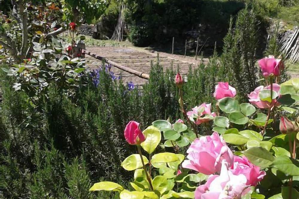Photo of Outdoor in Mediano