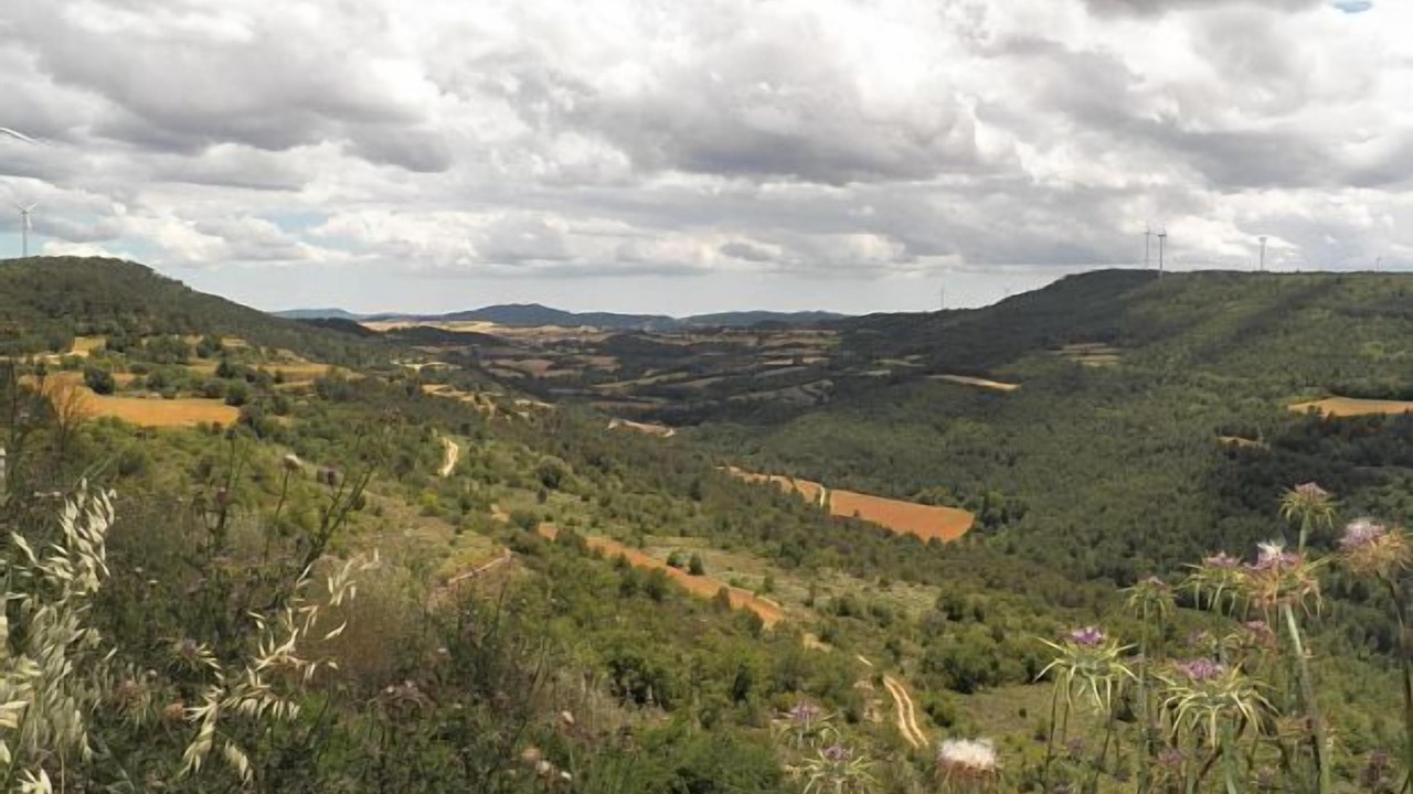 Photo of Others in Segura