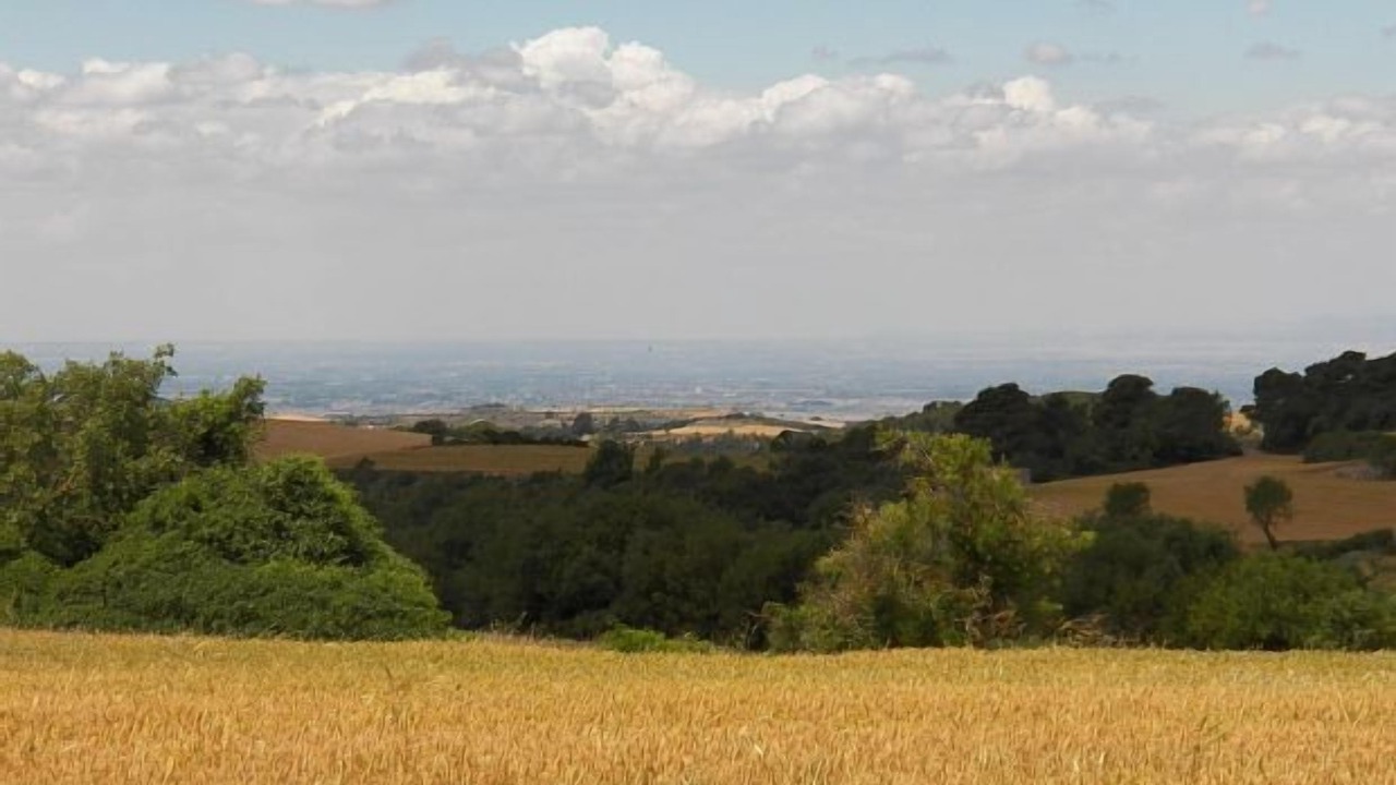 Photo of Others in Segura