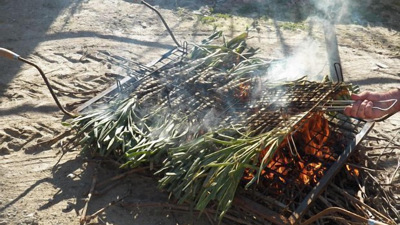 Photo of Outdoor in Segura