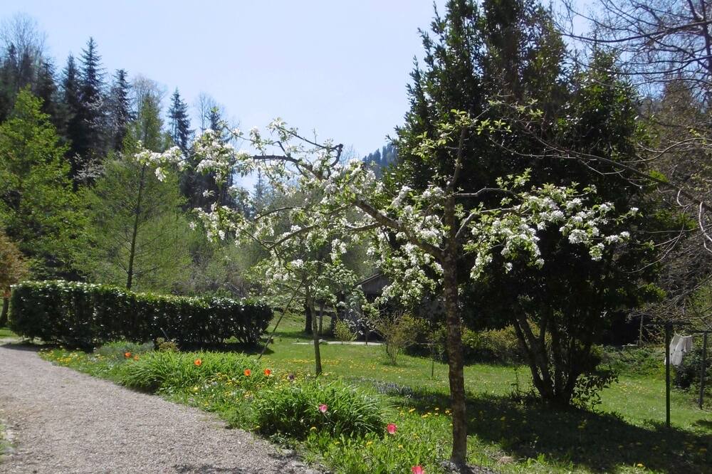 Photo of Outdoor in Fougax-et-Barrineuf