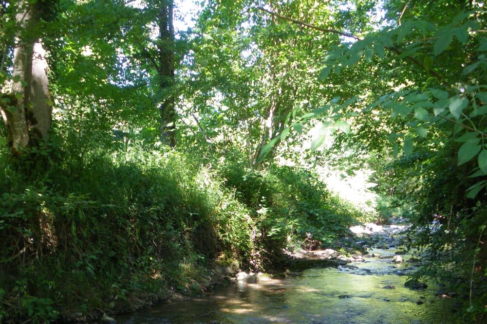 Photo of Outdoor in Fougax-et-Barrineuf