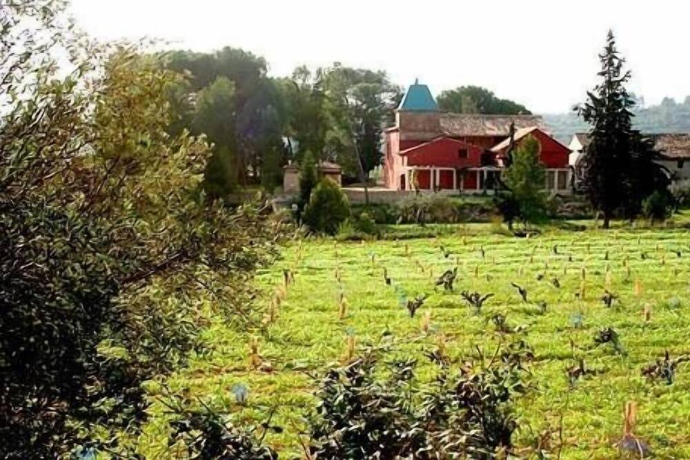 Photo of Outdoor in Bellus