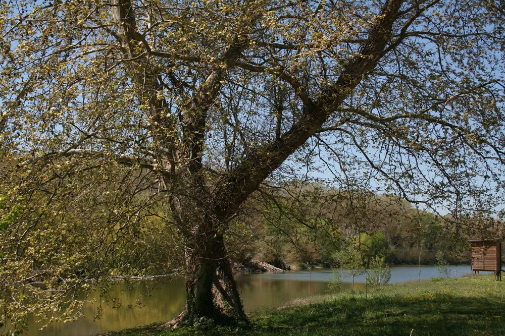 Photo of Outdoor in Torroella de Montgri