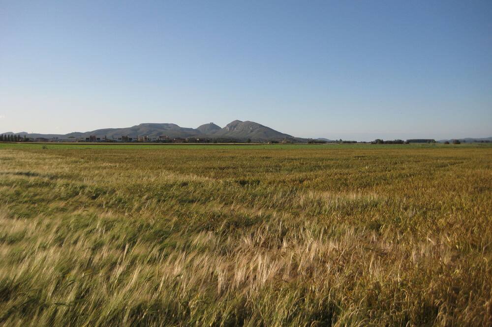 Photo of Outdoor in Torroella de Montgri