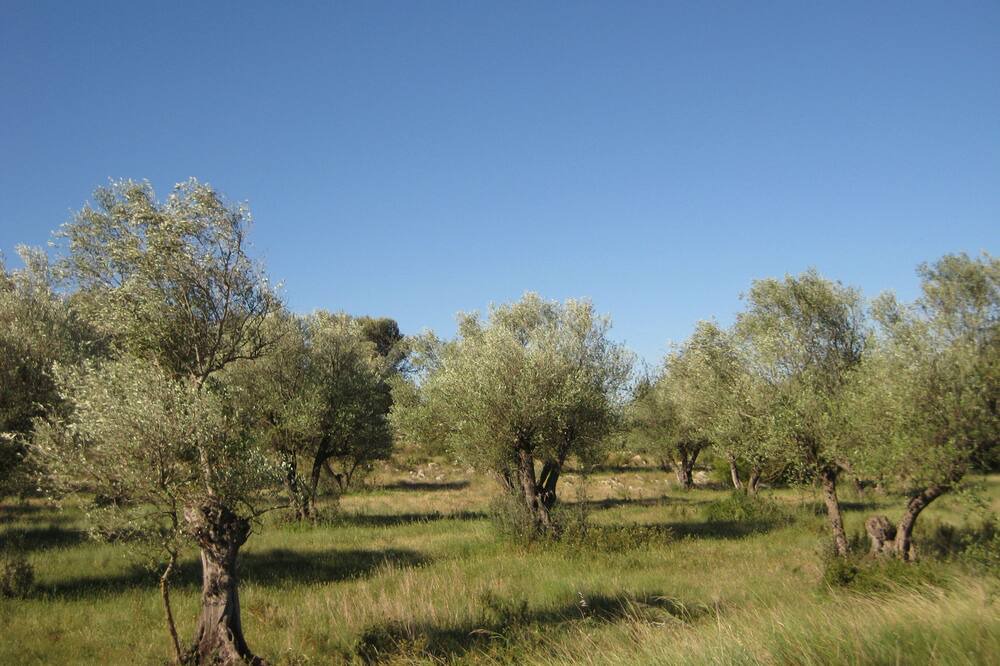 Photo of Outdoor in Torroella de Montgri