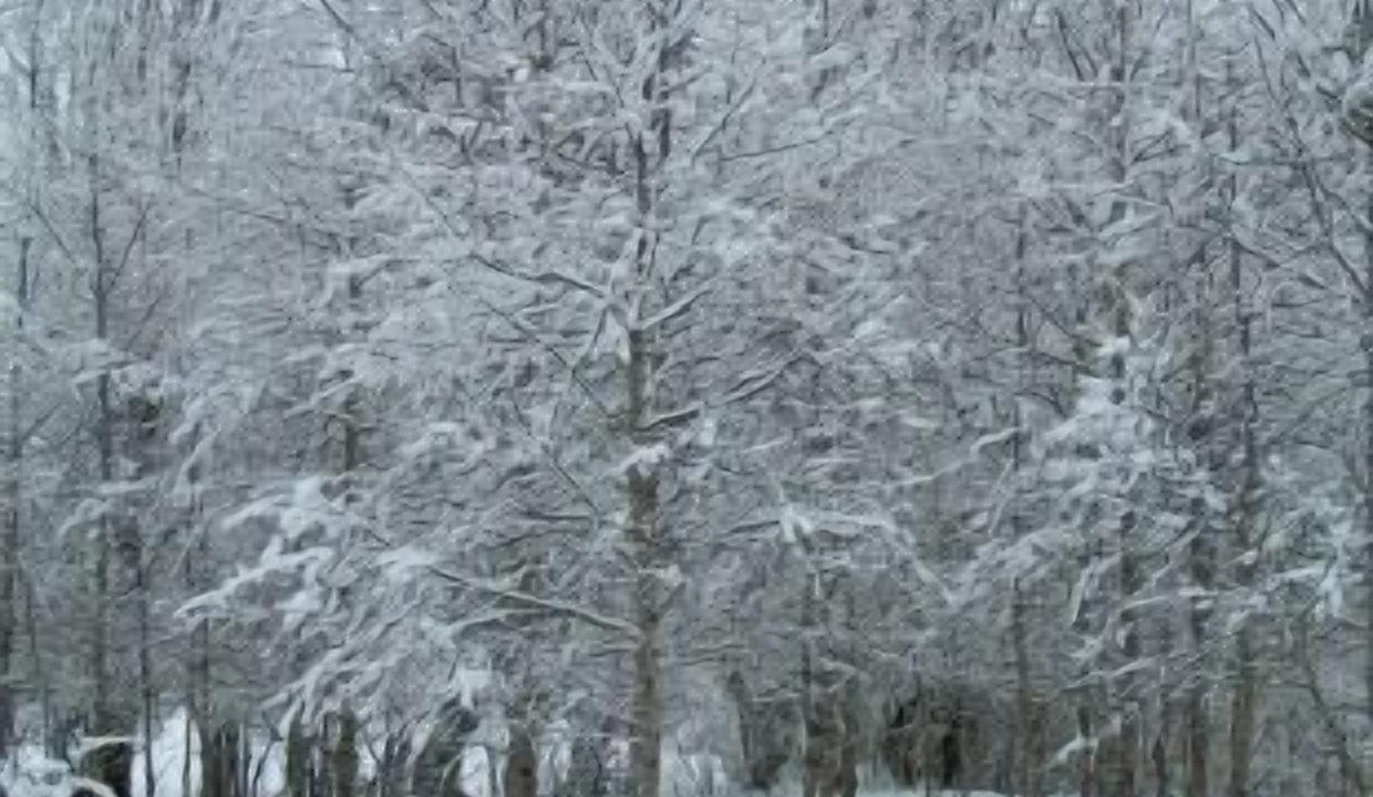 Photo of Outdoor in Bonansa