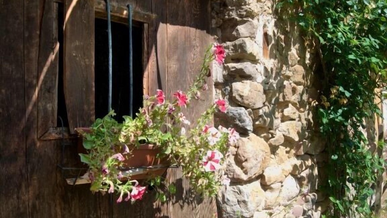 Photo of Outdoor in Bonansa