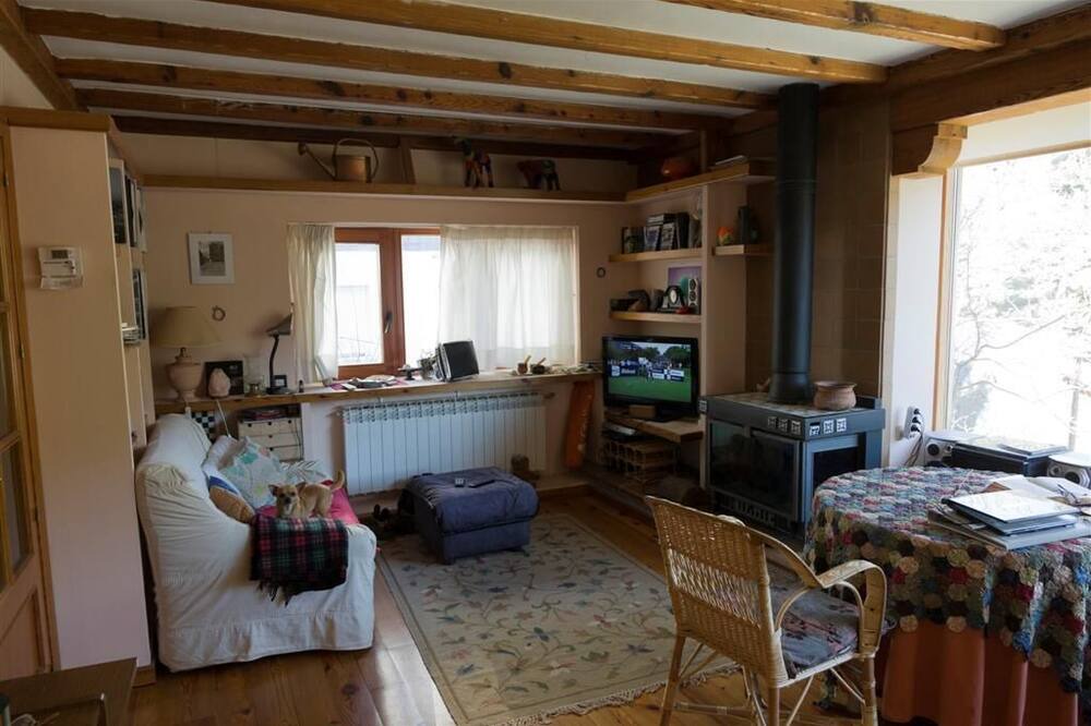 Photo of Livingroom in Cercedilla