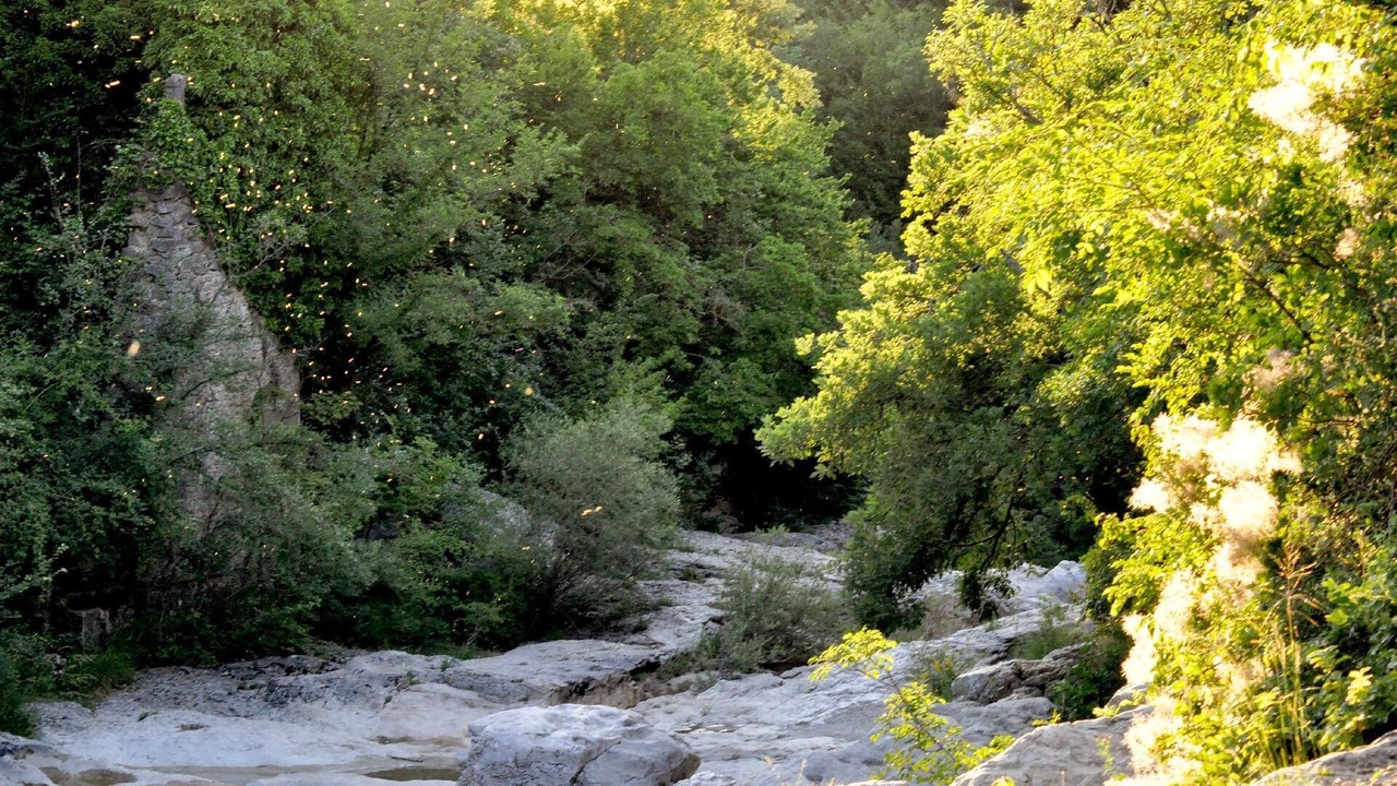 Photo of Outdoor in Kotli