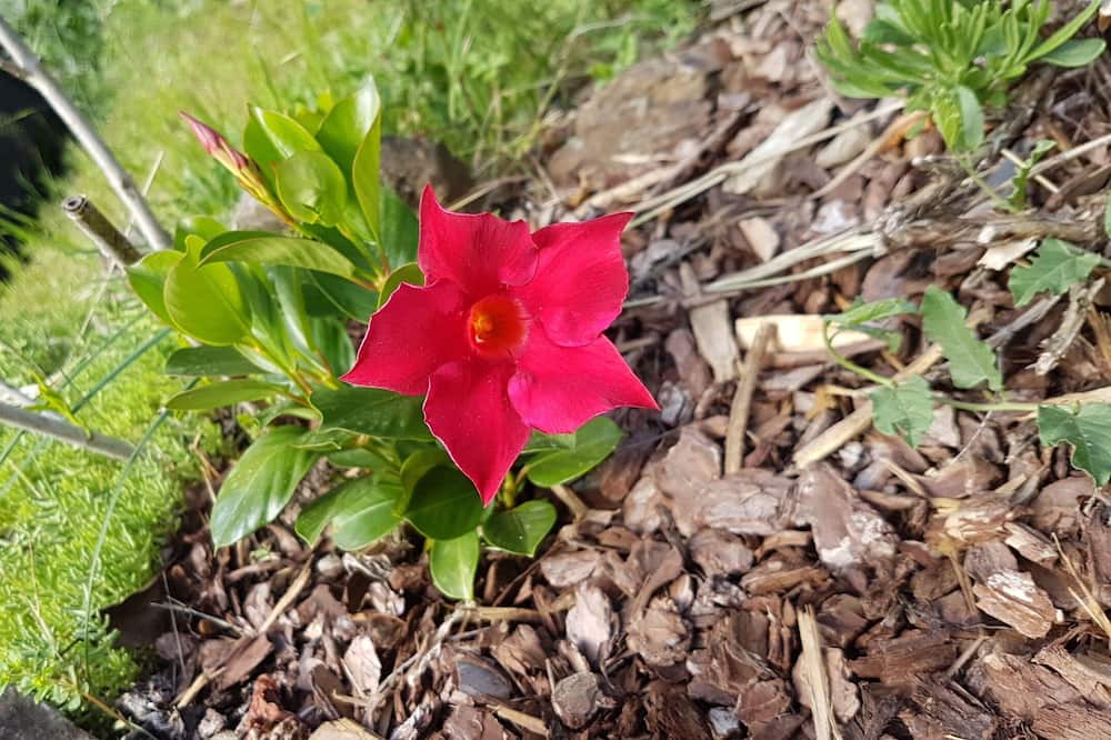 Photo of Outdoor in Mars