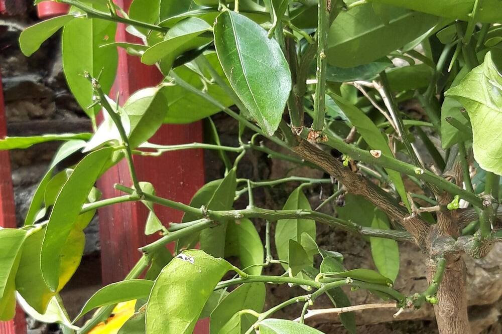 Photo of Outdoor in Mars