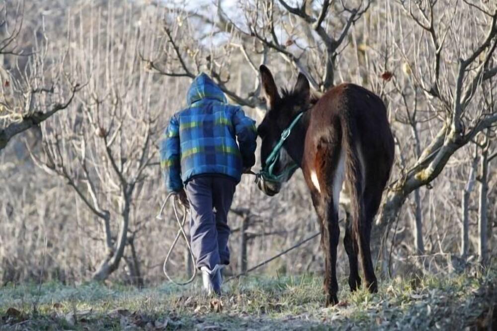 Photo of Others in Horche