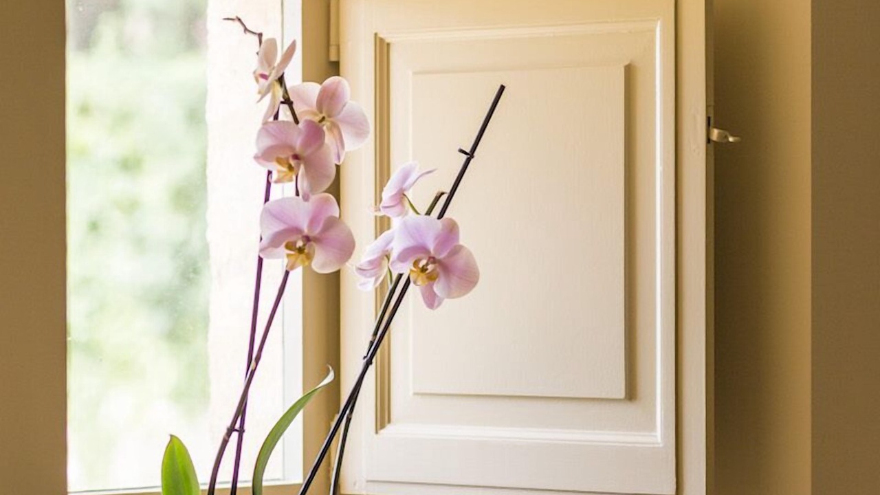 Photo of Bedroom in Tabanac