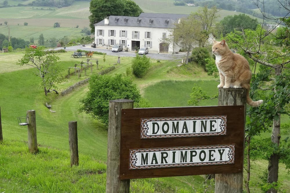 Photo of Outdoor in Monein