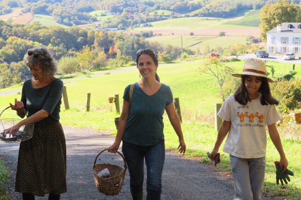 Photo of Outdoor in Monein