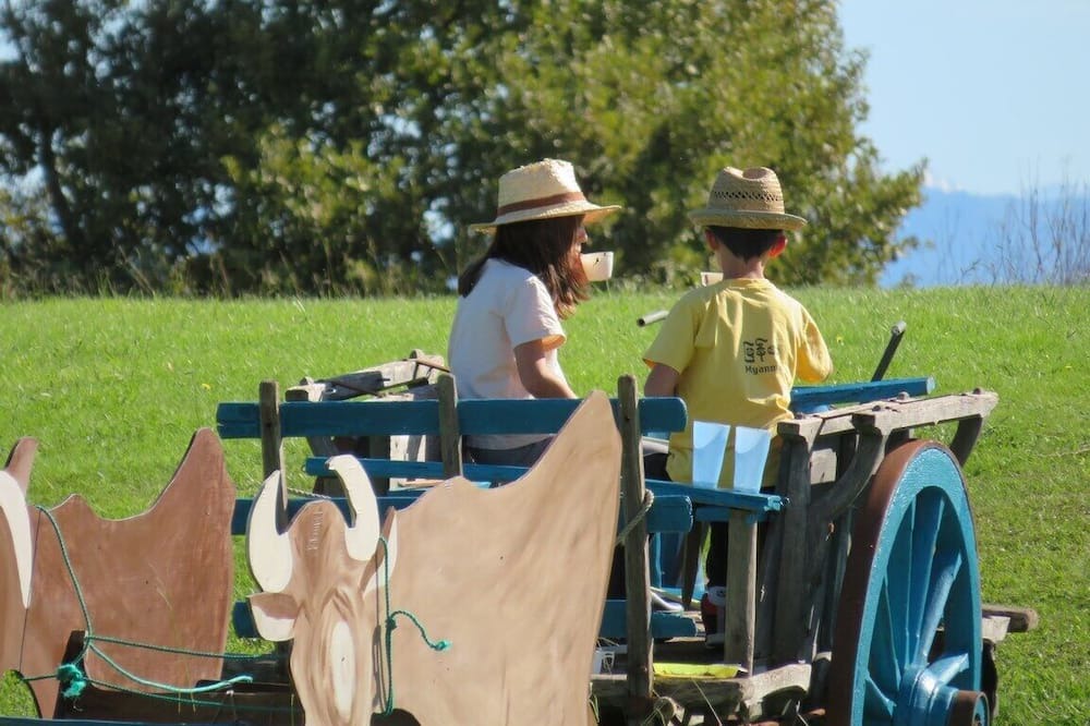 Photo of Others in Monein