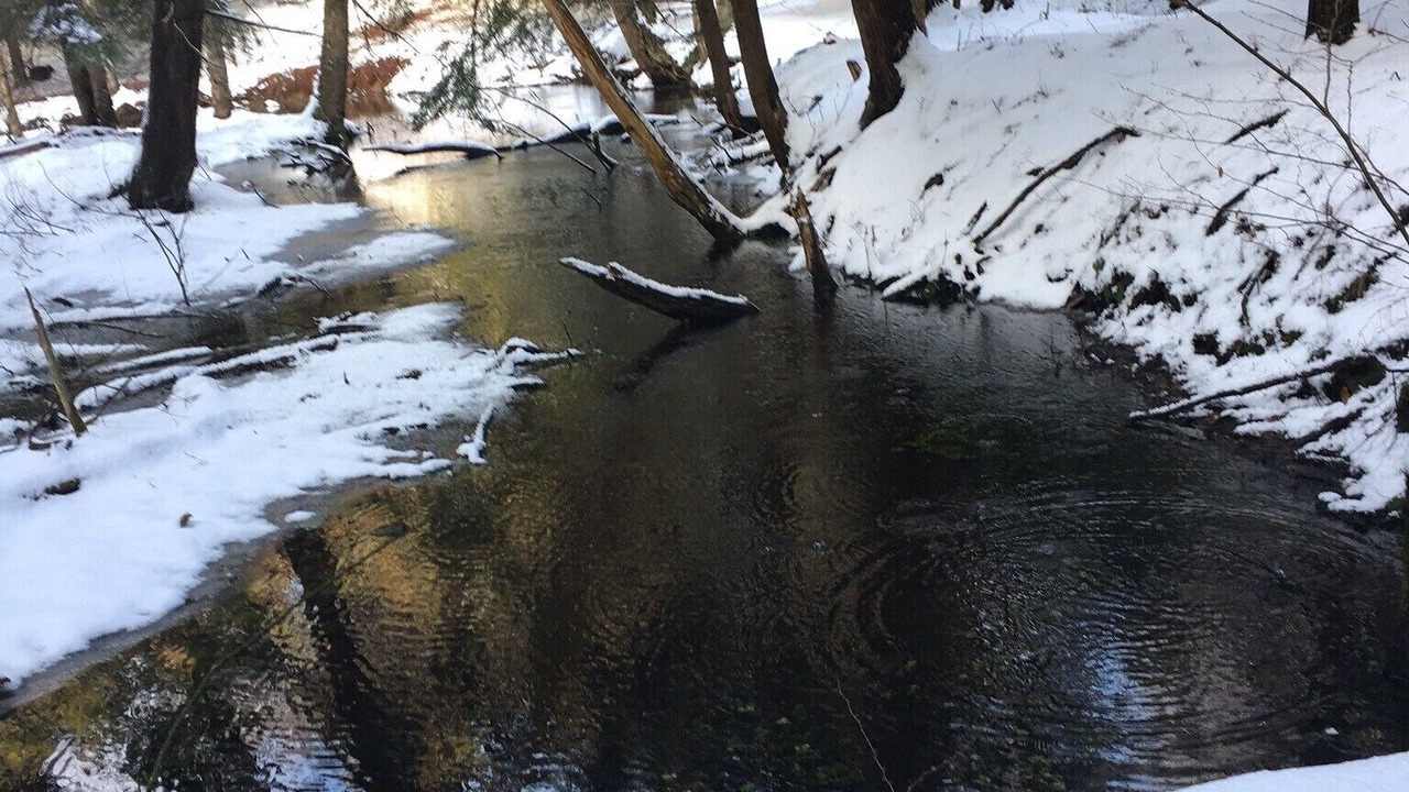 Photo of Others in Ellicottville