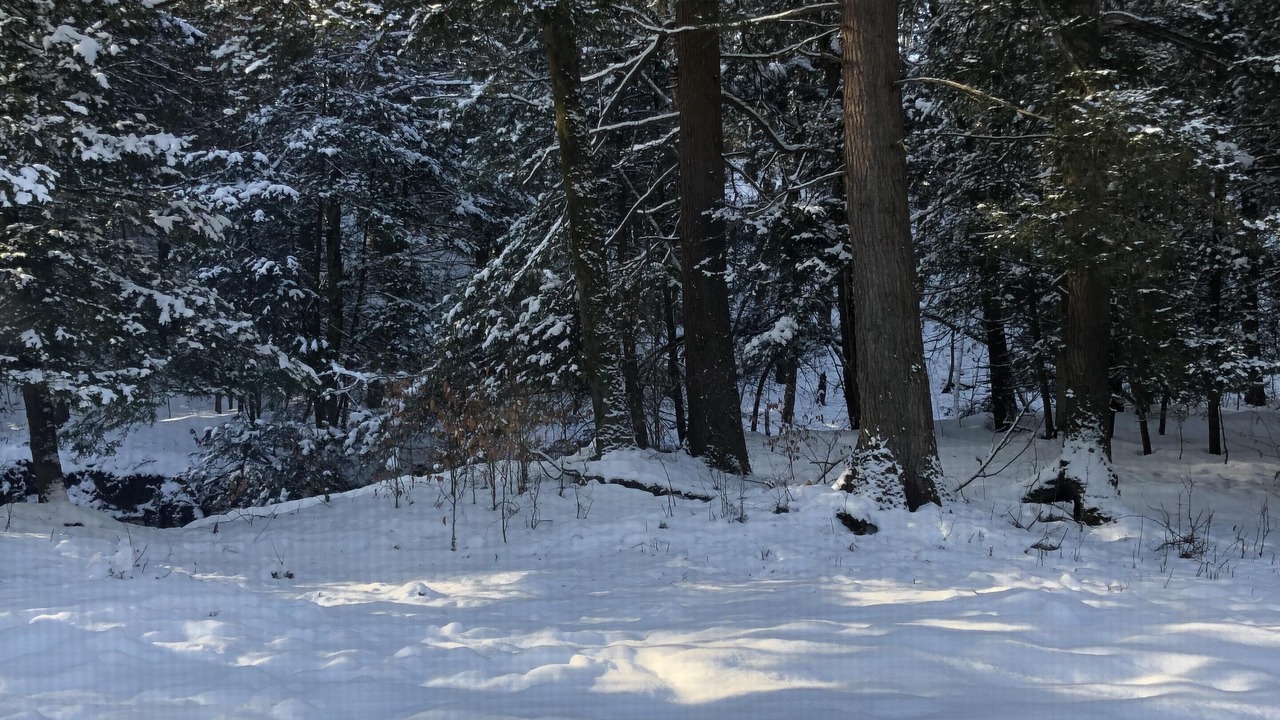 Photo of Others in Ellicottville