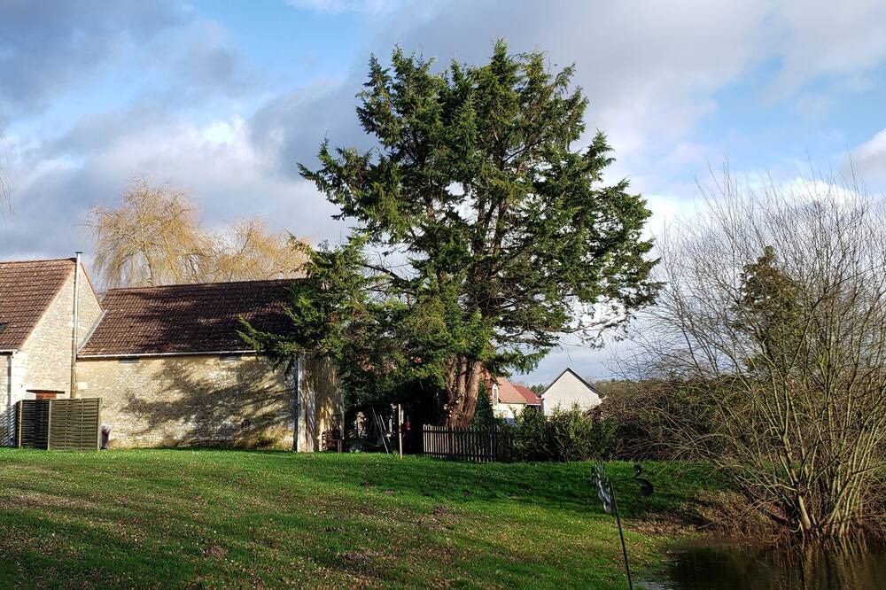 Photo of Outdoor in Aubigne-Racan
