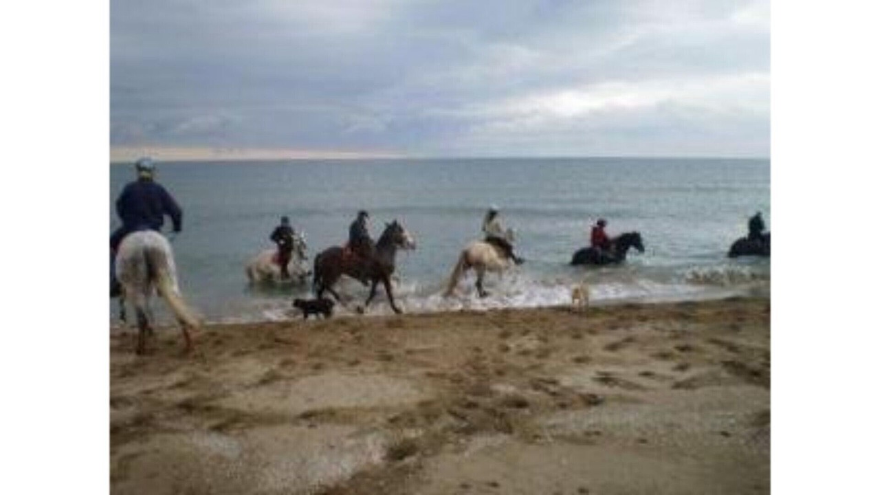 Photo of Others in Bon Relax