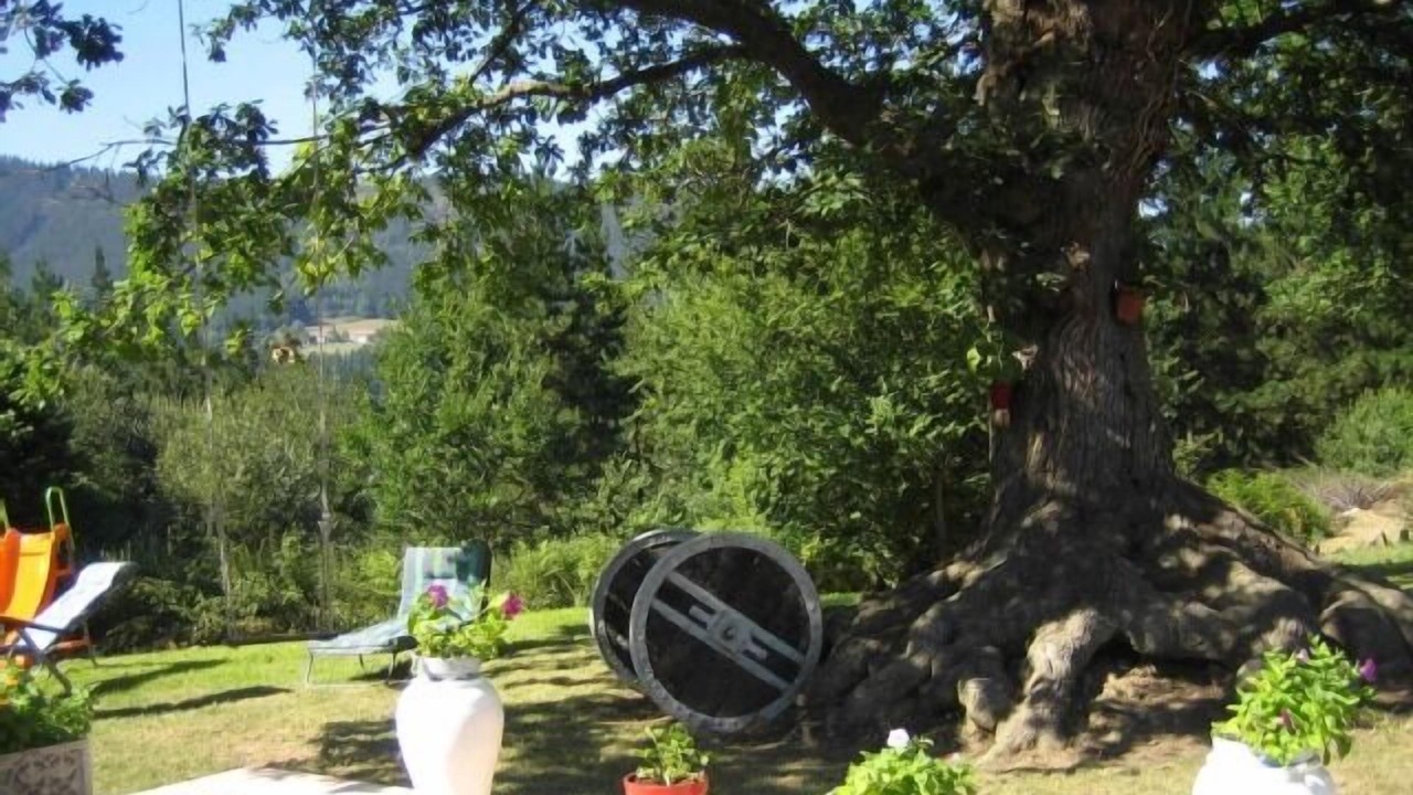 Photo of Outdoor in Muxika