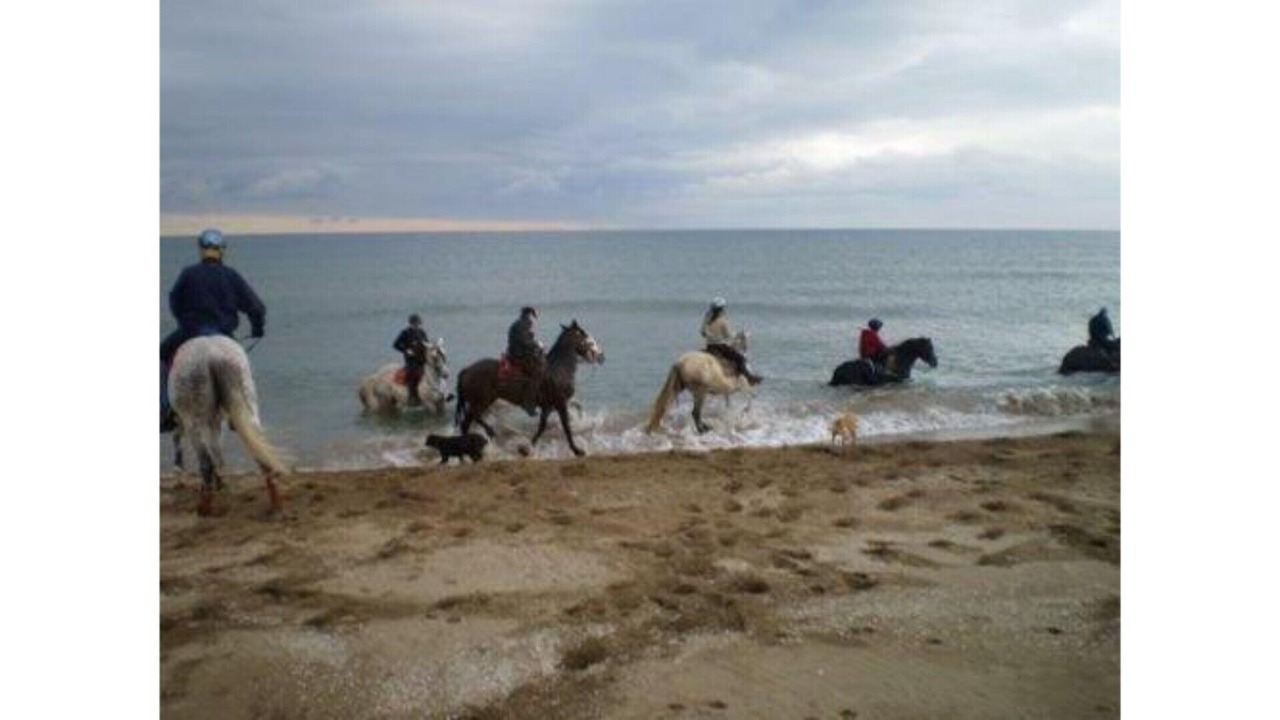 Photo of Others in Bon Relax