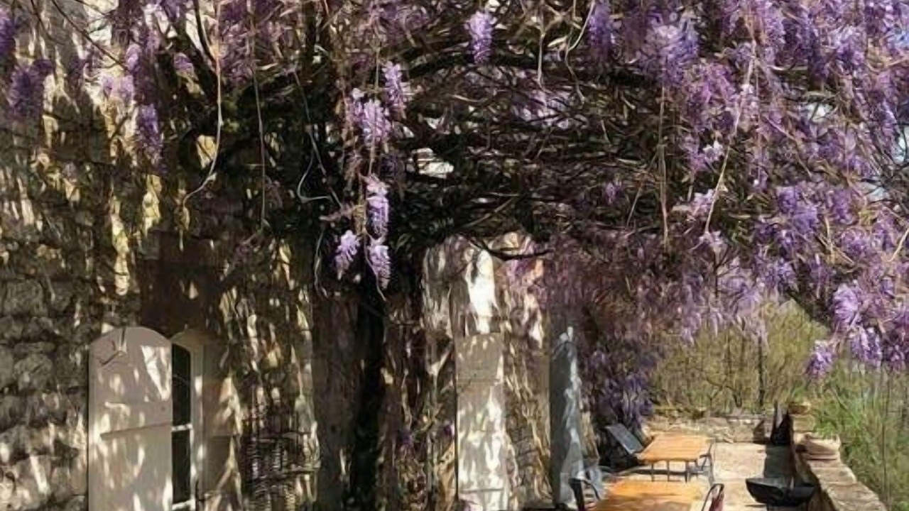 Photo of Outdoor in Saint-Sylvestre-sur-Lot