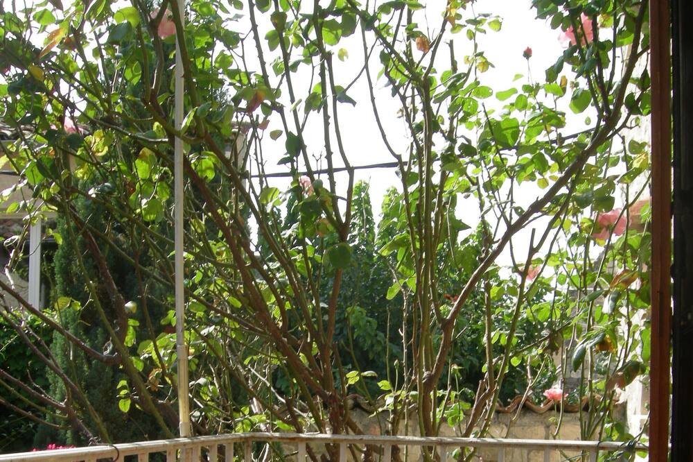 Photo of Patio Balcony in Mane