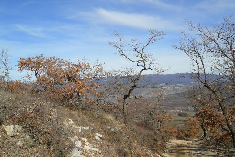 Photo of Outdoor in Mane
