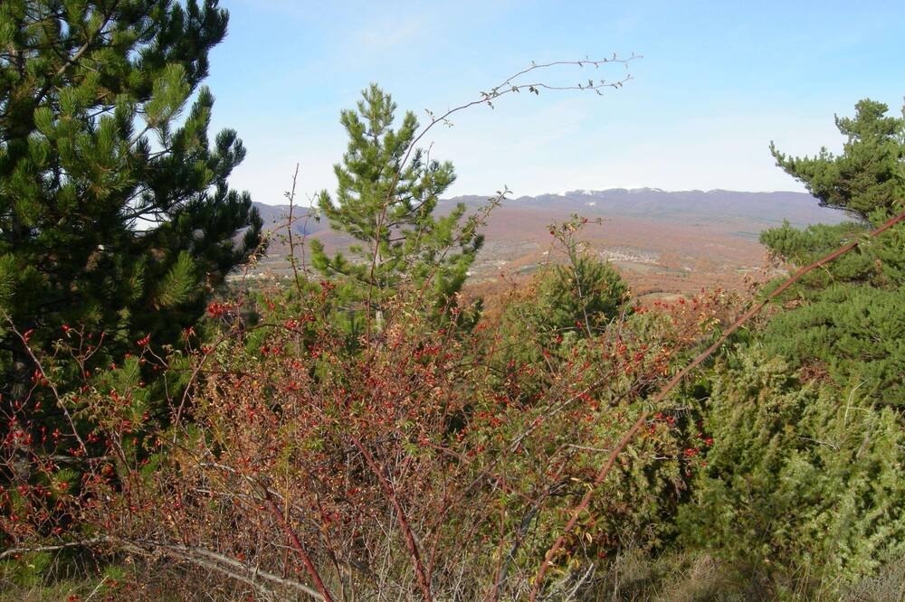 Photo of Outdoor in Mane
