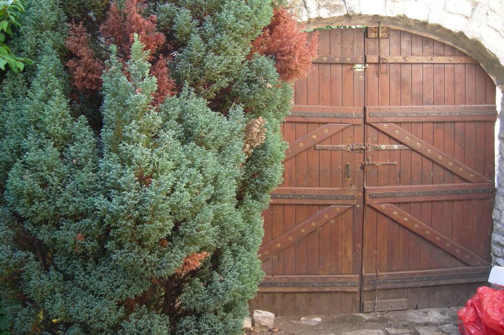 Photo of Outdoor in Mane